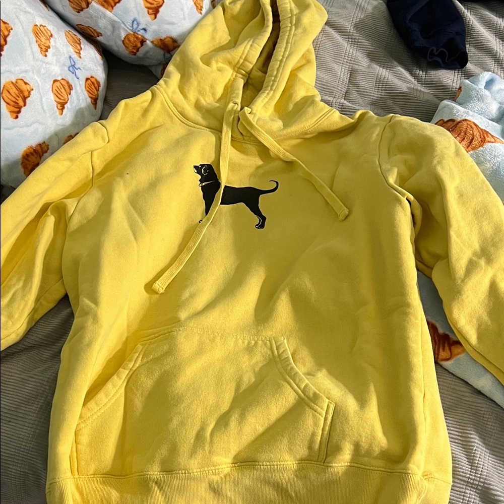 Black Dog Yellow Hoodie